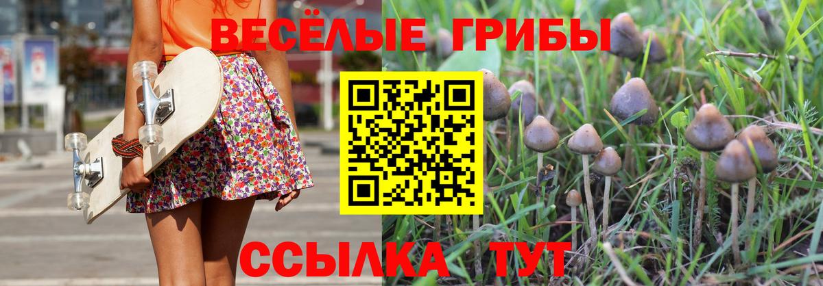 Северск  наркотики  Псилоцибиновые грибы прущие грибы  Вход с VPN  Псилоцибиновые грибы GOLDEN TEACHER 